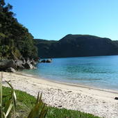 Landscapes-NZ-016.JPG