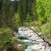 Wimbachtal_21.jpg