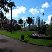 New-Zealand_2005_1107.JPG