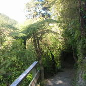 New-Zealand-2007-778.JPG