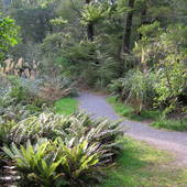 New-Zealand-2007-804.JPG