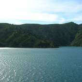 New-Zealand_2005_0442.JPG