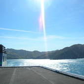 New-Zealand-2007-733.JPG