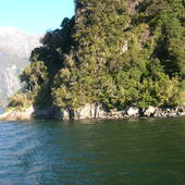 New-Zealand-2007-417.JPG