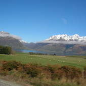 New-Zealand-2007-376.JPG