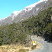 New-Zealand-2007-402.JPG