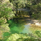 New-Zealand-2007-158.JPG