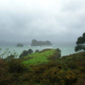 New-Zealand-2007-1173.JPG