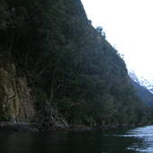 New-Zealand-2007-465.JPG