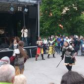 Burgfest-Stein-an-der-Traun-2013-030